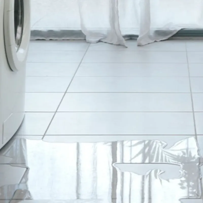 Appliance Leak Cleanup in Galena, IL