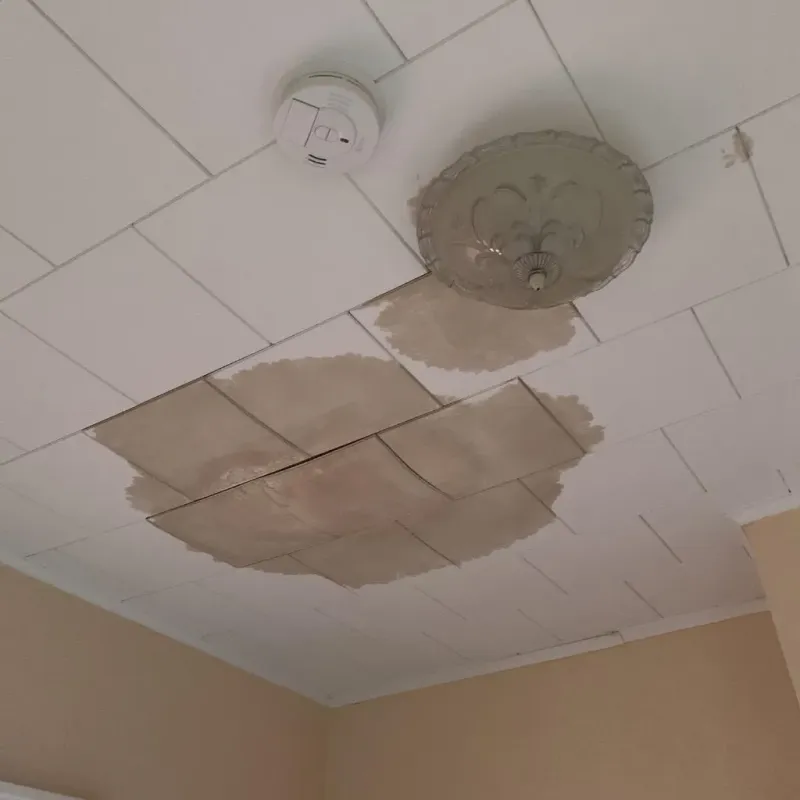 Ceiling Water Damage Repair in Galena, IL