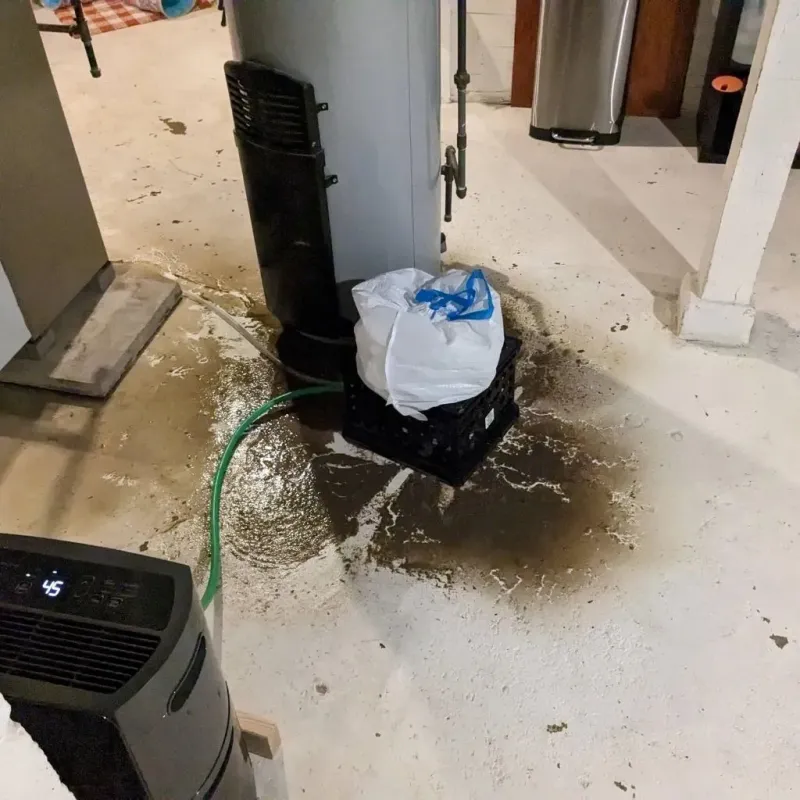 Sewage Backup Cleanup Service in Galena, IL